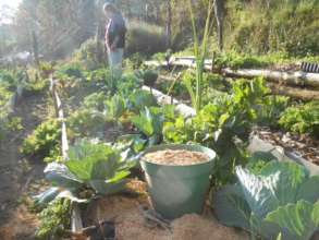 Organic Garden in El Ranchito, Queretaro