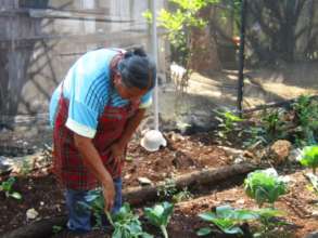 Organic garden in San Jose de las Flores