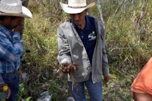 Lucio analyzes soil health, visit to pilot ranch