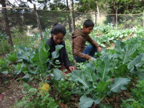 A family working on family organic garden