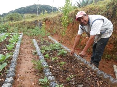 Regenerating Soils, Producing Healthy Food