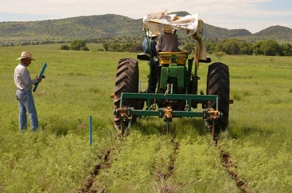 Regenerating Soils, Producing Healthy Food