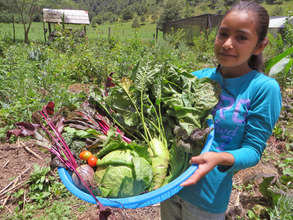 Regenerating Soils, Producing Healthy Food