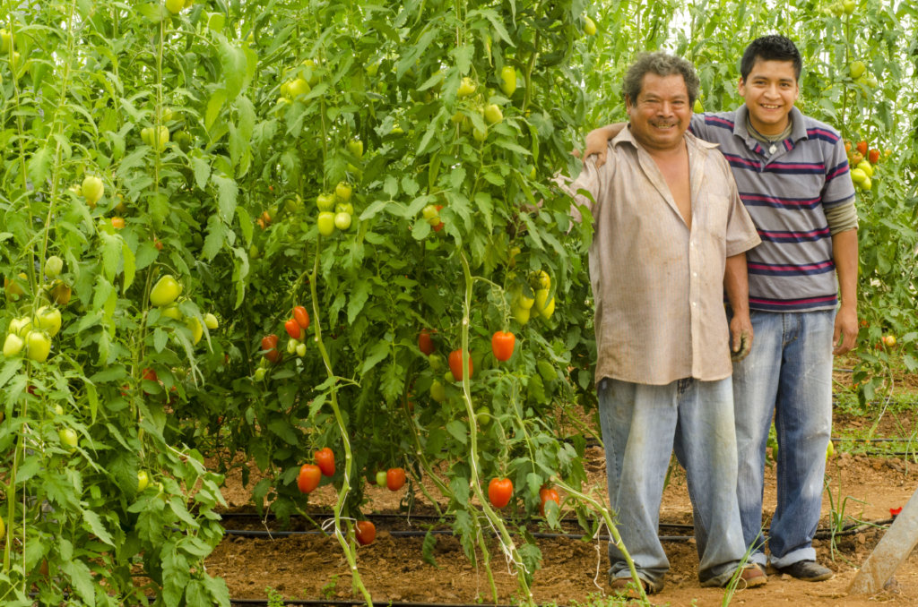 Regenerating Soils, Producing Healthy Food