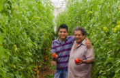 Regenerating Soils, Producing Healthy Food