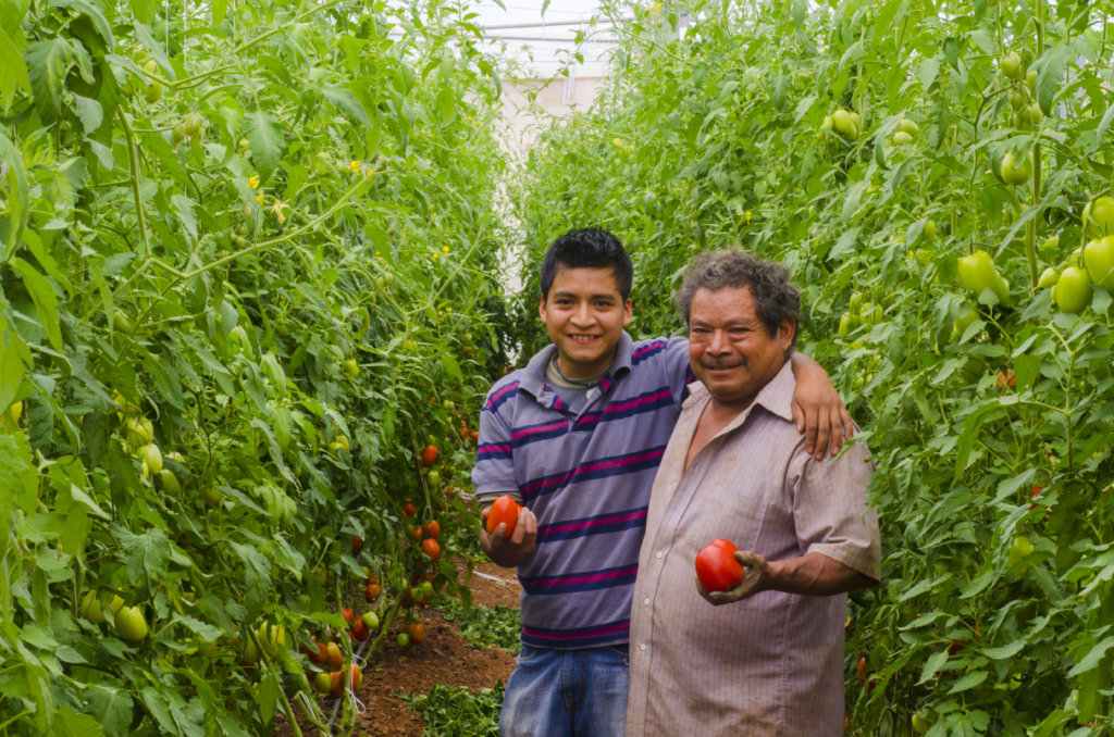 Regenerating Soils, Producing Healthy Food