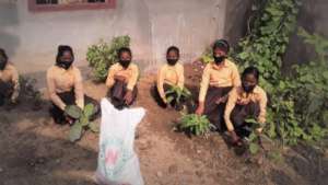 Students gardening