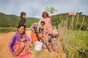 A group of women plant trees together