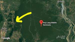 Map of the forest where we will be planting trees.