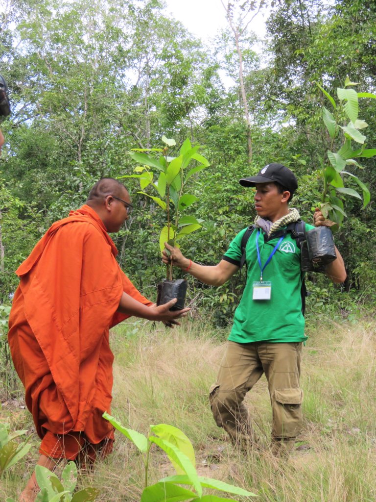 Plant Trees to Restore Cambodian Forests