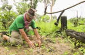 Plant Trees to Restore Cambodian Forests