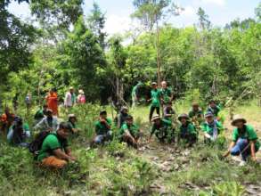 Planting trees together