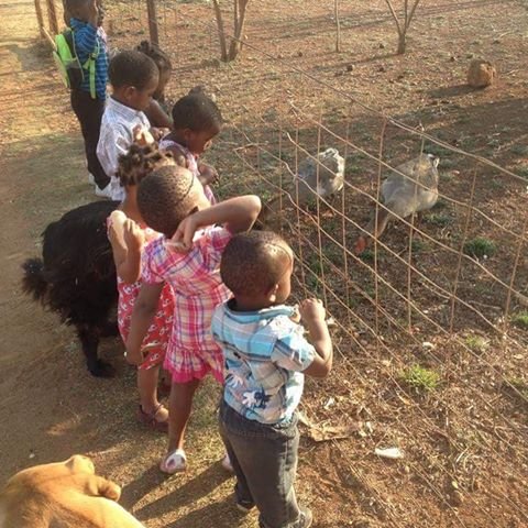Give Quality Care to 32 Children in South Africa