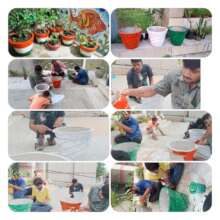 Children with disabilities participation