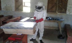 Agriculture teacher models the beekeeping outfit