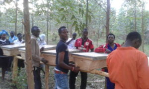Students helping with the beehive installation