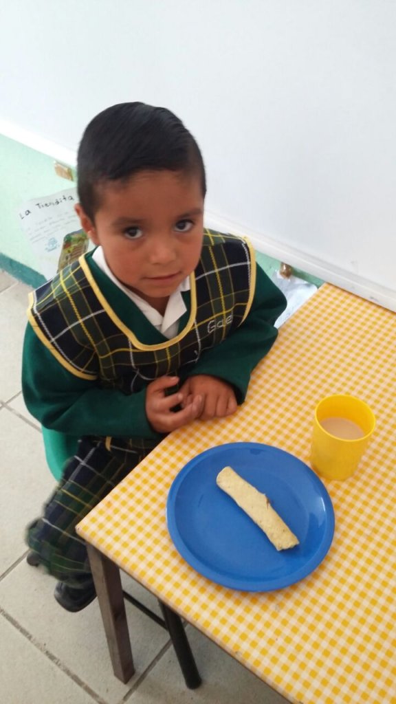 Help Nurture and Educate 120 Mexican Children