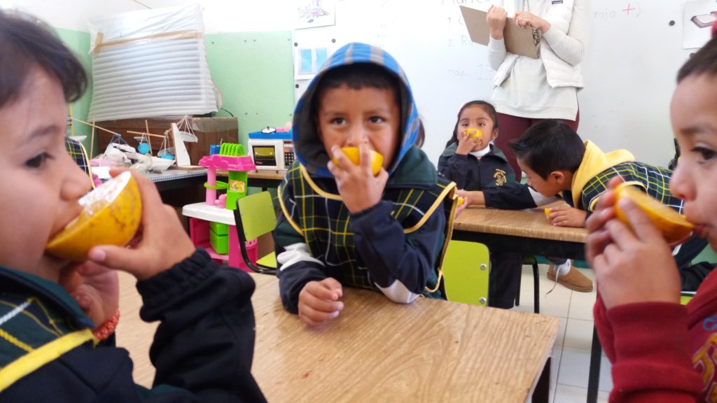 Help Nurture and Educate 120 Mexican Children