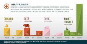 Insect nutrition