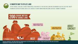 Insect farming is a smarter way to utilize land