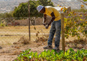 The Security fence going up