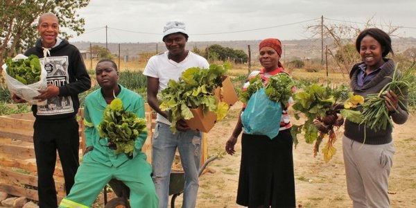 Farmers of the Future: Empowering Unemployed Youth