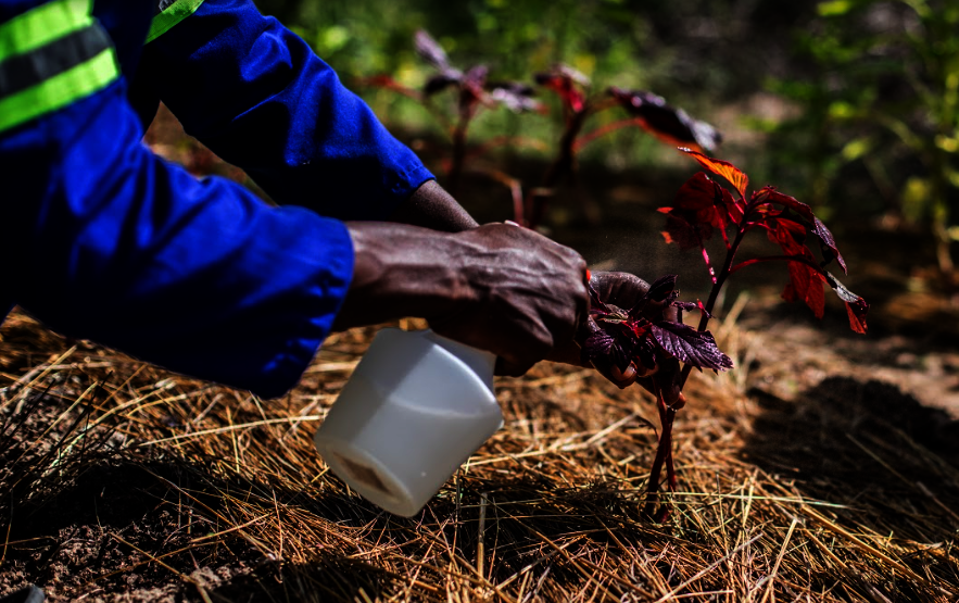 Farmers of the Future: Empowering Unemployed Youth
