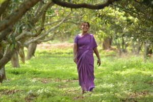 Sarojamma the steady walker