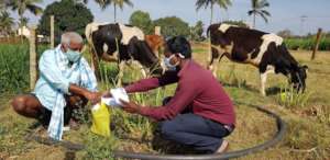 Healthcare worker distributing medicines