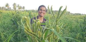 Sujatha working in a field