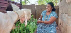 Beyond the shadows: Manjula gets healed