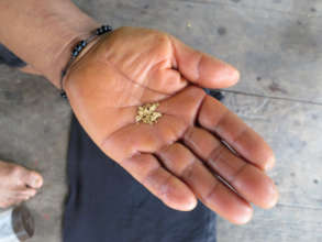 Gold found in Cofan territory