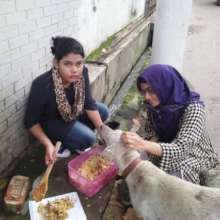 Nely volunteers with the  AUW Animal Welfare Club.