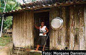 Protecting the Amazon in Brazil