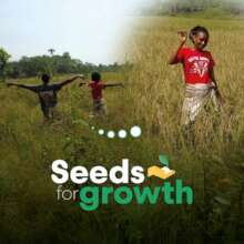 One of 2025's fields