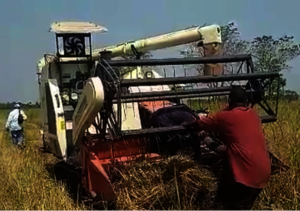 Rice harvester and Momodu in the background