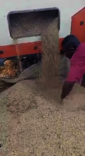 Flowing rice..