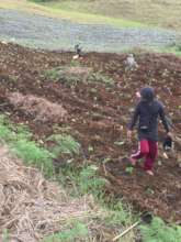 Garden for processed food