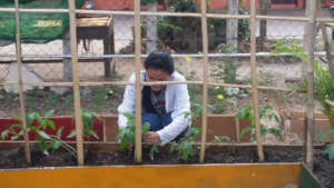 Our New Vegetable Garden