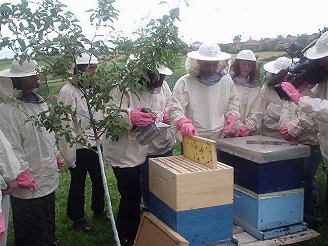 Provide Women in Kosovo with Job-Skills Training