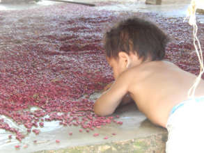 Christian in the Beans