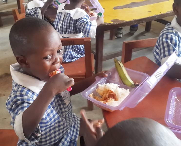 Daily Feeding of Public School Pupils in Nigeria