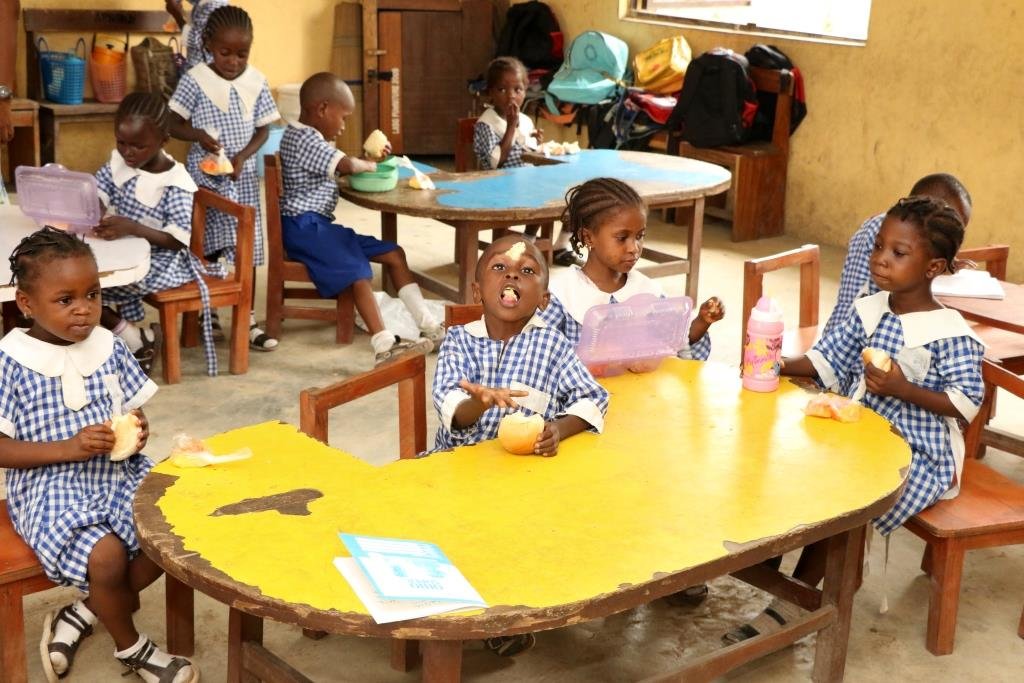 Daily Feeding of Public School Pupils in Nigeria