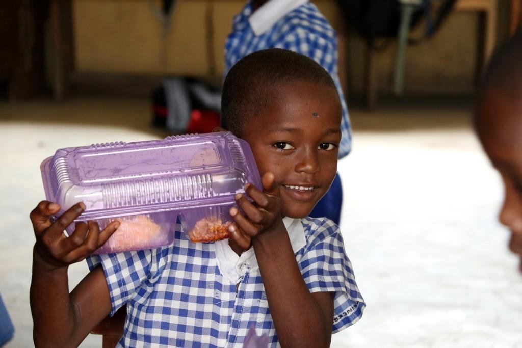 Daily Feeding of Public School Pupils in Nigeria