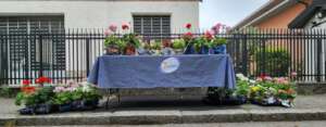 Mother's Day fundraising initiative