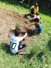 Vegetable garden