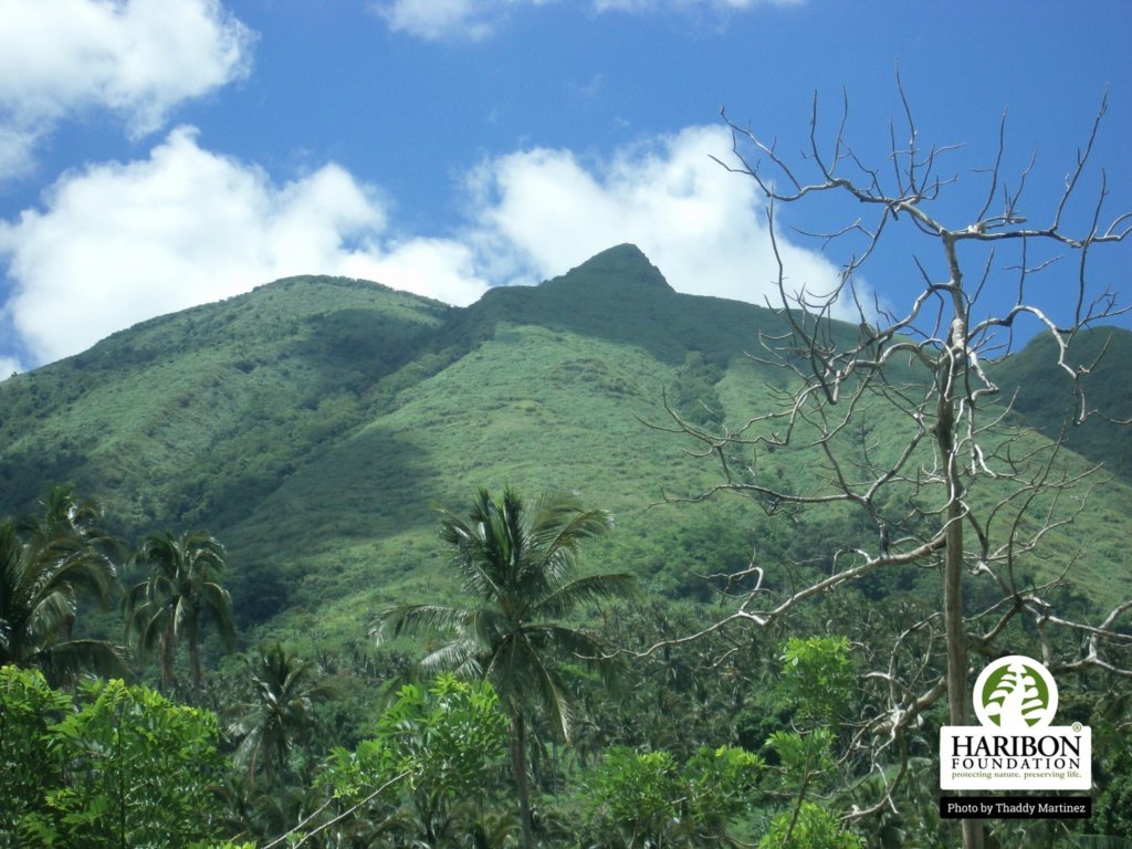 Give a Home for Philippine Wildlife