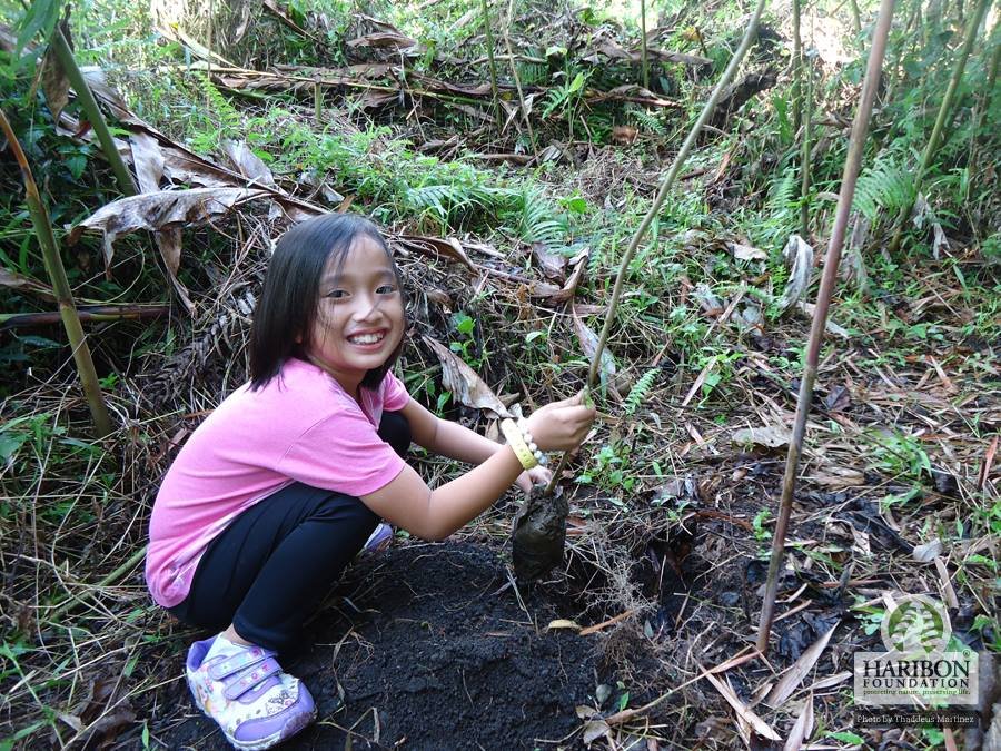 Give a Home for Philippine Wildlife
