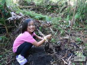 Tree planting