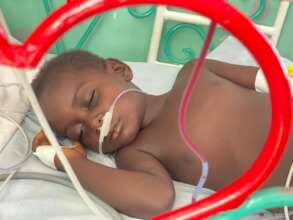 Anemic patient brought in shock